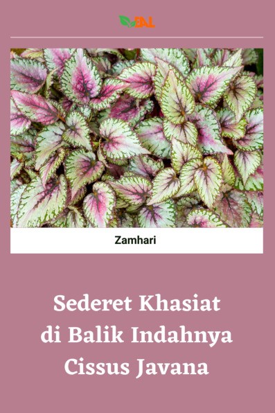 Sederet Khasiat di Balik Indahnya Cissus Javana